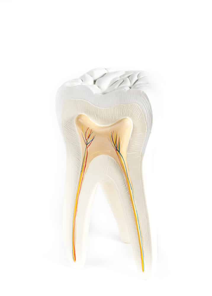 Not All Root Canals are the Same