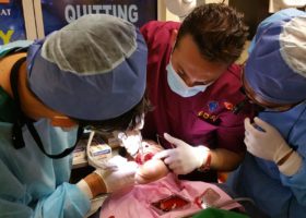 teaching surgery